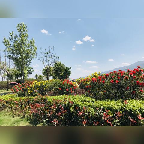 在梦境中探索锦绣江湖,挑战入梦铃第一关