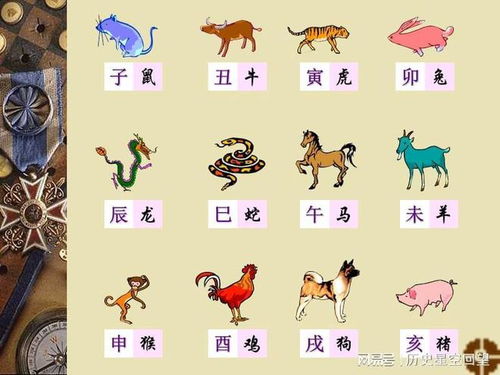 十二生肖一统天下指什么生肖?每个生肖的特征及代表含义都是什么?