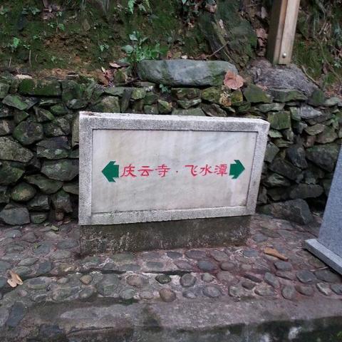 全面解析十虎手游攻略:从新手到高手的成长指南与实用技巧分享