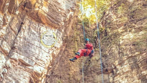 (惊险的探险之旅)探索惊险刺激的旅行:bightadventure安卓版 (惊险的探险之旅)探索惊险刺激的旅行:bightadventure安卓版