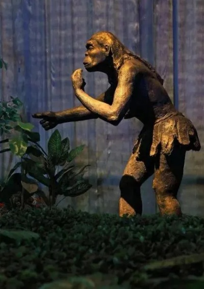 (人类从原始到文明)从回人类文明前奔放:探索古老文明的奥秘和未知历史 (人类从原始到文明)从回人类文明前奔放:探索古老文明的奥秘和未知历史