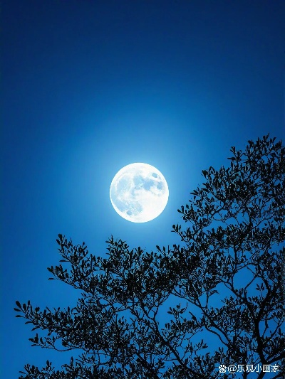 (蔚蓝的月亮)在蔚蓝的月光下，追忆那些温暖的瞬间与无尽的梦想