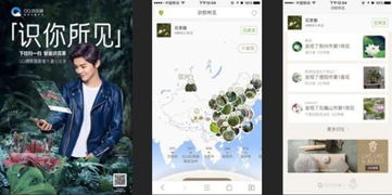 探索微信小程序再生之境：如何利用新技术提升用户体验与商业价值