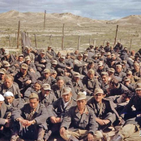 (switch荒野生存类游戏)Switch平台上的荒野军团：探索荒无人烟的世界，挑战野外生存！