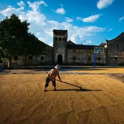 (我的城堡音乐)我的城堡原唱:揭秘这首深藏多年的经典歌曲的故事和创作者