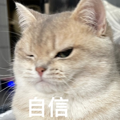 (勇敢猫猫表情包)勇敢向前创的猫咪表情包：挑战自我，展现勇气，勇往直前！