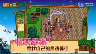 (星露谷物语美化包大全)探索星露谷物语美化版：让你的田园生活更添色彩与乐趣