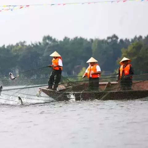 (阳光下跳舞的女孩图片)阳光下蹦跳的女孩,追逐梦想与快乐的成长旅程