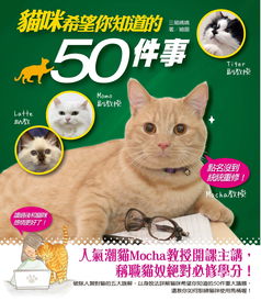 深度揭秘:猫咪公寓2为什么已经停更?相关原因及粉丝期待的新内容有何更新可能性?