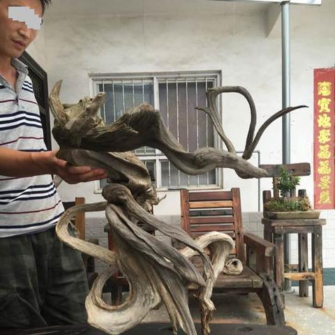 (开局一根烧火棍)开局一根棍游戏:探寻生存与挑战的极限,打破常规的冒险之旅