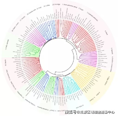 食物归类者官方区有几个入口?探究这里的入口数量与种类,揭秘其功能和作用。