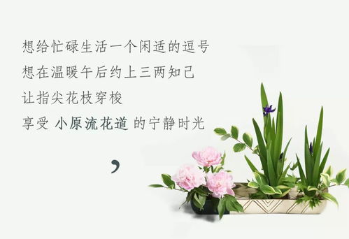 怡然自得的闲暇时光:以宁静的阅读和自我对话,感受悠闲时刻中醇厚的人生味道