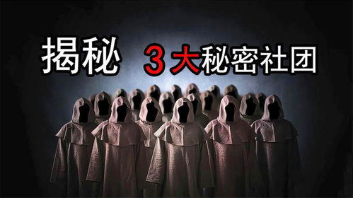(一骑学院gm)探秘一骑学院内部号:神秘背后的秘密世界与精彩故事 (一骑学院gm)探秘一骑学院内部号:神秘背后的秘密世界与精彩故事