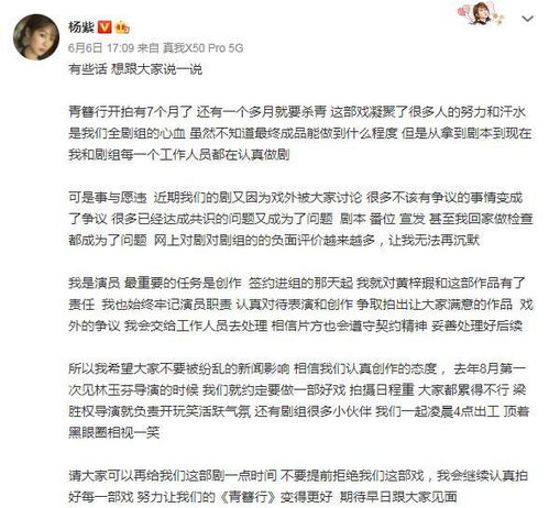 (青璃还有后续吗)青璃怎么停运了?导致什么后果?如何解决这一情况? (青璃还有后续吗)青璃怎么停运了?导致什么后果?如何解决这一情况?
