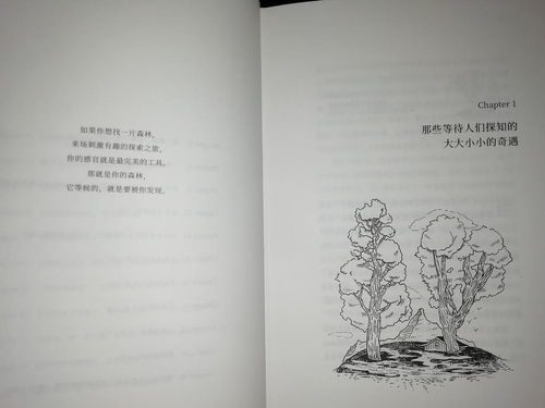 (空想森林歌词翻译)在空想森林中徜徉:罗马音歌词的奇妙旋律 (空想森林歌词翻译)在空想森林中徜徉:罗马音歌词的奇妙旋律